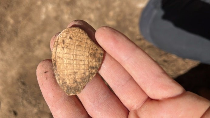 Fragment de petxina recollida d’un estrat de l’època del Bronze Fragment de nansa d’una ceràmica neolítica